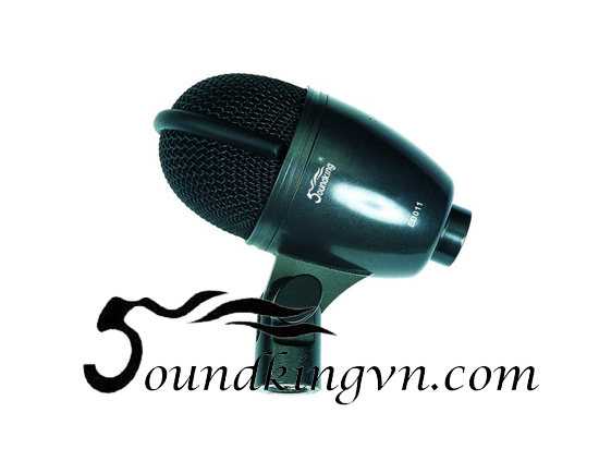 Micro phòng thu Soundking ED011